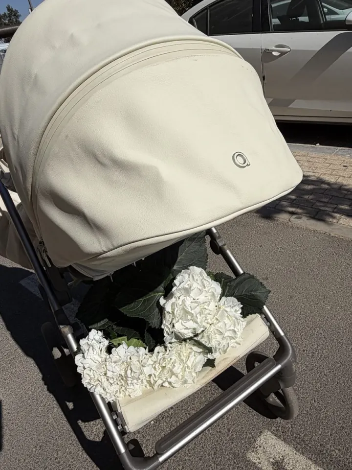 Cream leather stroller with a bunch of white hydrangeas